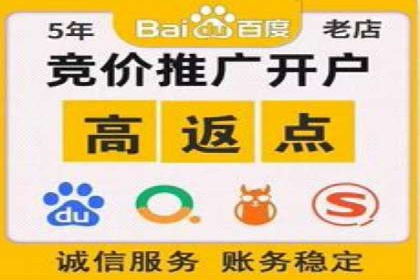 SEM代运营案例：优化搜索排名策略